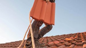 travaux toiture rénovation traitement nettoyage de toiture Thoissey 